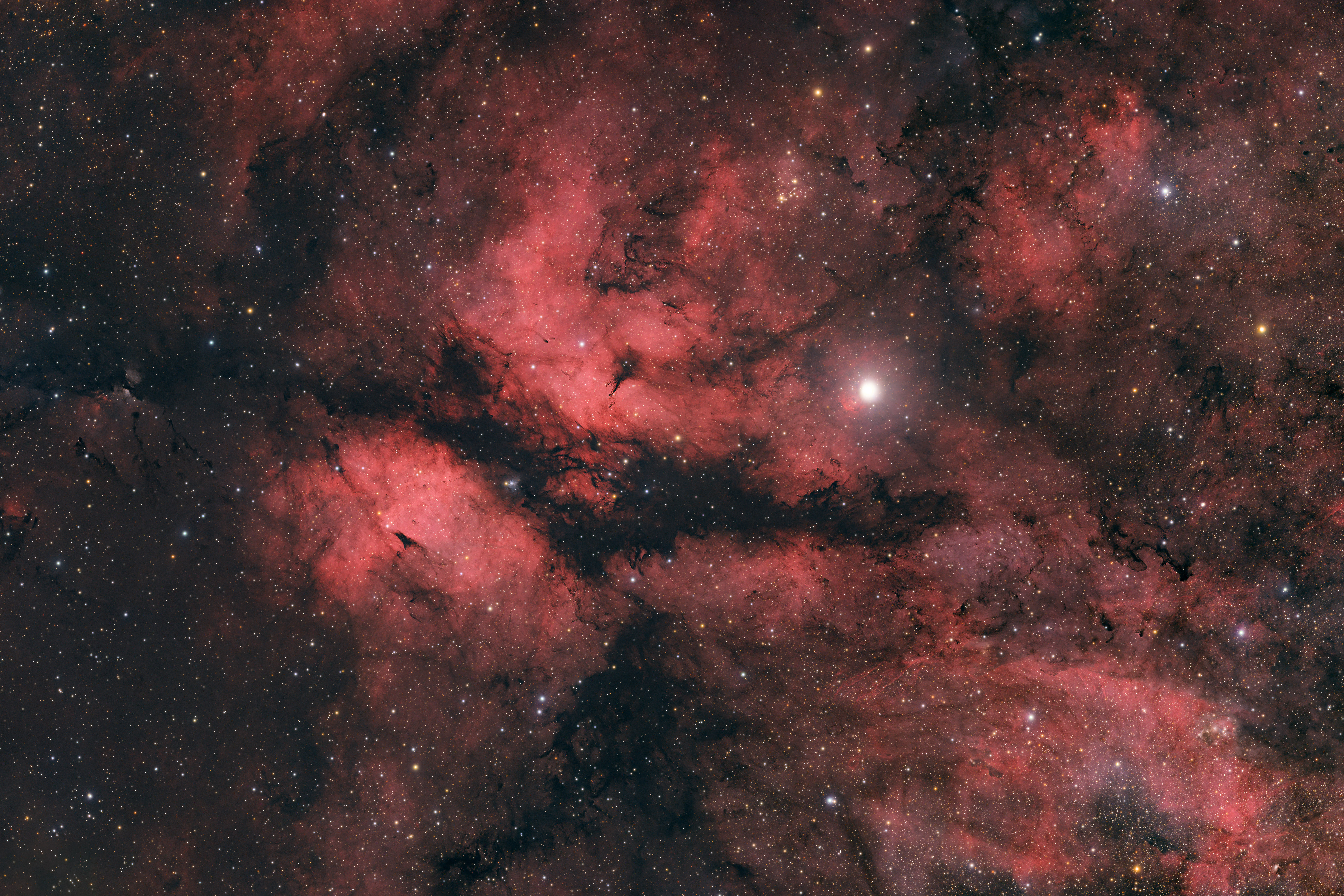 IC 1318 - Der Schmetterlingsnebel